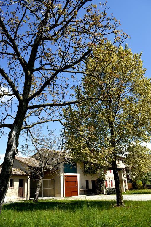 Agriturismo Ca Roer San Zenone Εξωτερικό φωτογραφία
