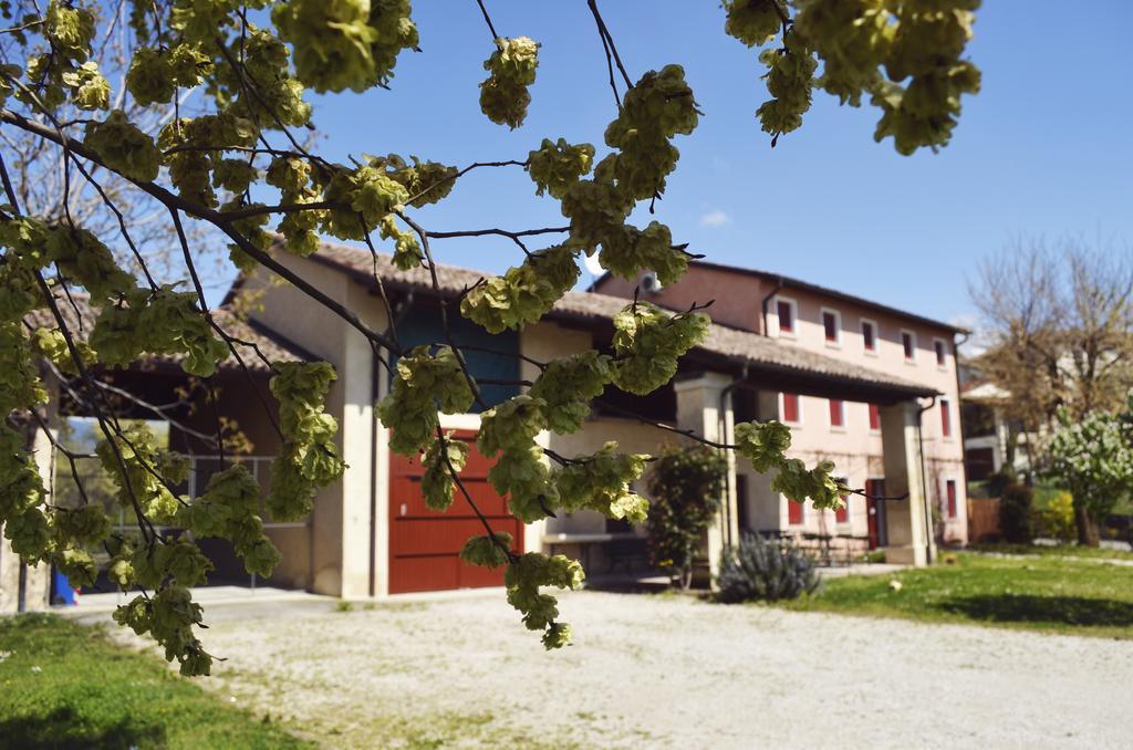 Agriturismo Ca Roer San Zenone Εξωτερικό φωτογραφία